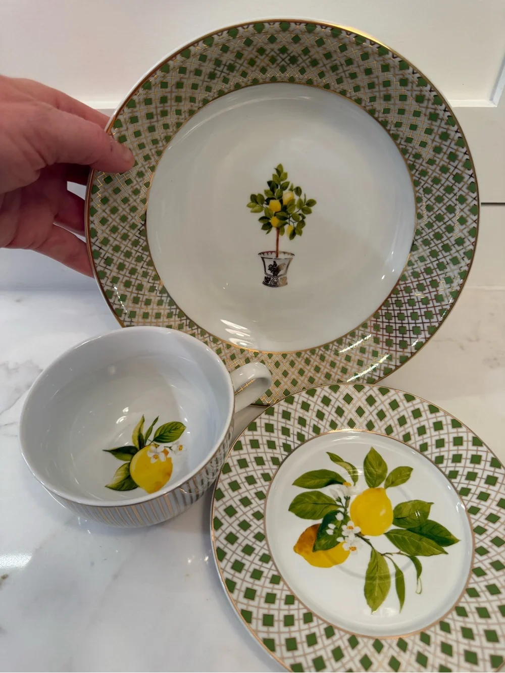 Williams Sonoma Limone Dinnerware